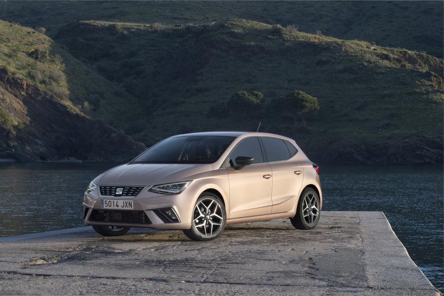  Seat Ibiza 2017 года  (WW) (фото 10 из 40)